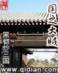 国之大贼不错