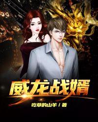 战兵龙婿