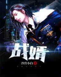 战婿奶爸 莫愁飞