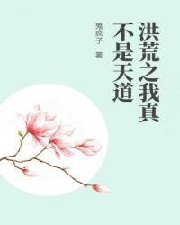 洪荒之我真不是天道TXT完整版