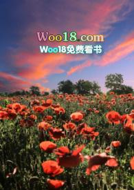 不合时宜的考察