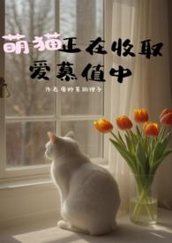萌猫正在收取爱慕值中作者爱炒菜的