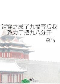清穿之九福晋免费阅读