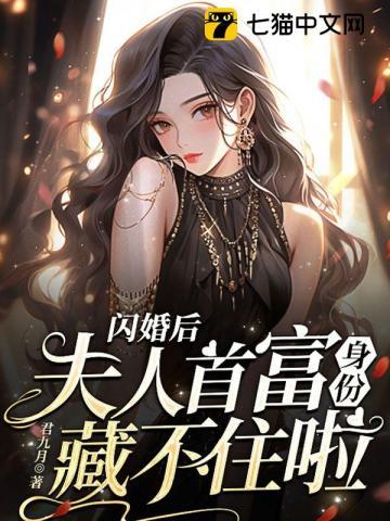 闪婚成了总裁夫人