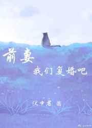 前妻我们复婚吧gl辛尘