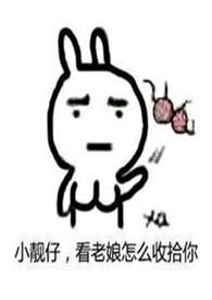 王力宏的前妻为什么要毁了他