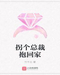 拐个总裁带回家沈严