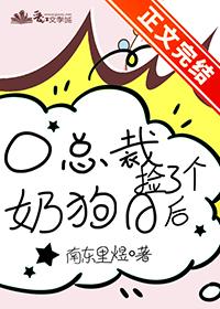 捡个总裁去结婚免费阅读