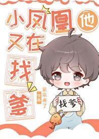 小凤凰追妻