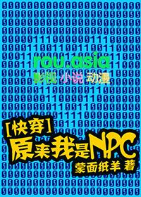 快穿之原来我是npc