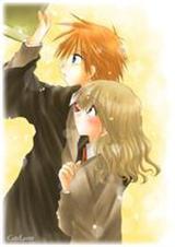 哈利波特里凯瑟琳夫人的图片