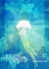 小透明beta被痴汉包围h