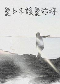 爱上不该爱的人什么歌曲