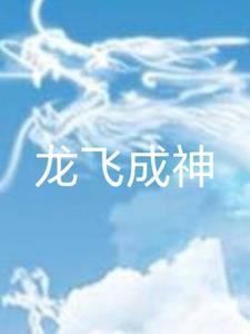 龙飞