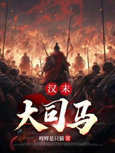 在汉朝