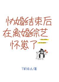 协婚结束后在离婚综艺怀崽了txt