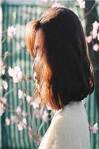 恰与梨花同梦阅读免费无弹窗