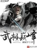 武极巅峰全本免费阅读