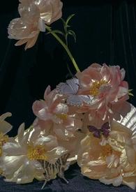 适合午夜时分发的说说