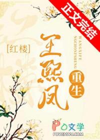 红楼同人王熙凤重生