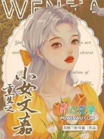 重生之小女文嘉TXT百度