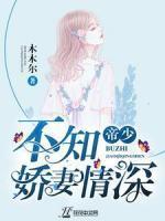 顾念帝长川免费阅读