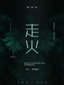 走火电视剧免费观看