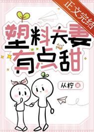 塑料夫妻有点甜免费阅读书旗