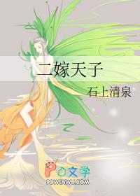 二嫁天子 石上清泉笔趣阁