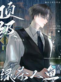 顶级Alpha被绿茶人鱼诱捕免费