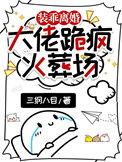 装乖离婚大佬跪疯火葬场笔趣阁