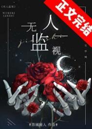 无人监视无防盗