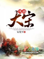 风雨大宋怎么样