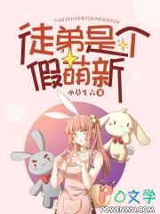 徒弟是个傻子怎么办