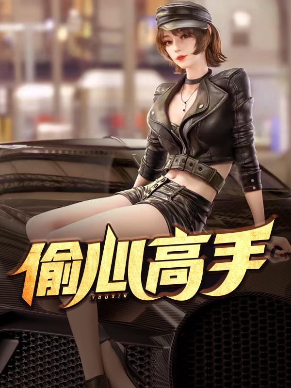 偷心高手免费阅读