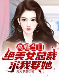 美女总裁的离婚赘婿