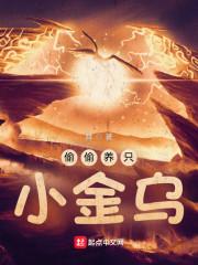 偷偷养只小金乌校对版