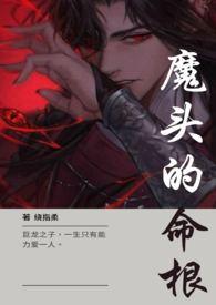 魔头的命根 (H  双C）