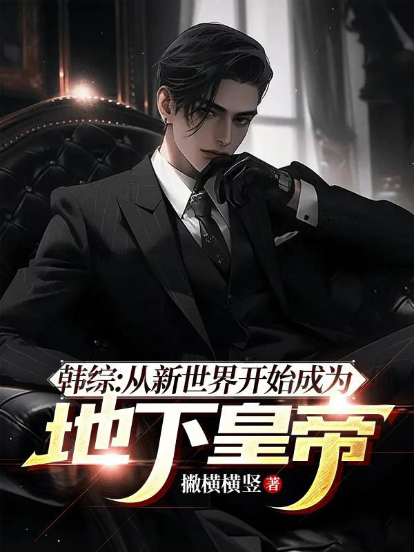 韩综:从新世界开始成为地下皇帝