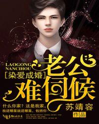 染爱成婚:老公,难伺候